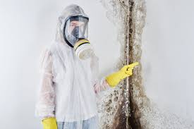 Best Black Mold Removal in Silverdale, WA